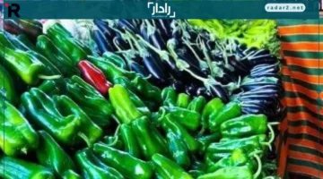 أسعار الخضروات في مطروح السبت: البسلة تصل إلى 25 جنيهًا